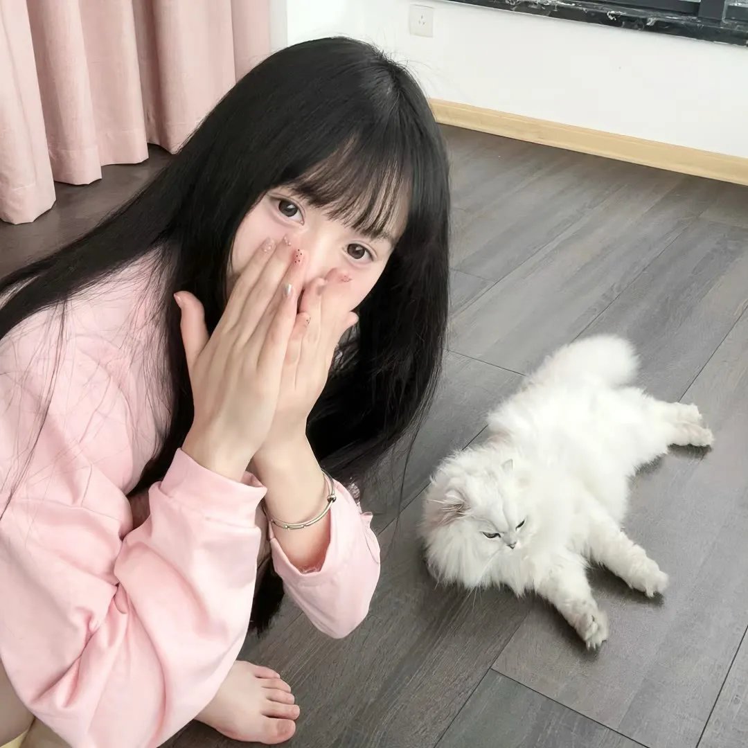 仙女特攻队